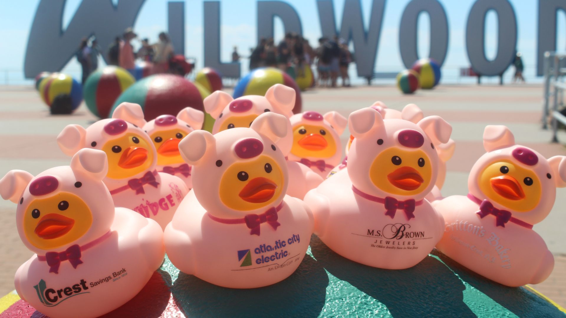 Exciting Return of Wildwood’s Rubber Ducky Regatta!