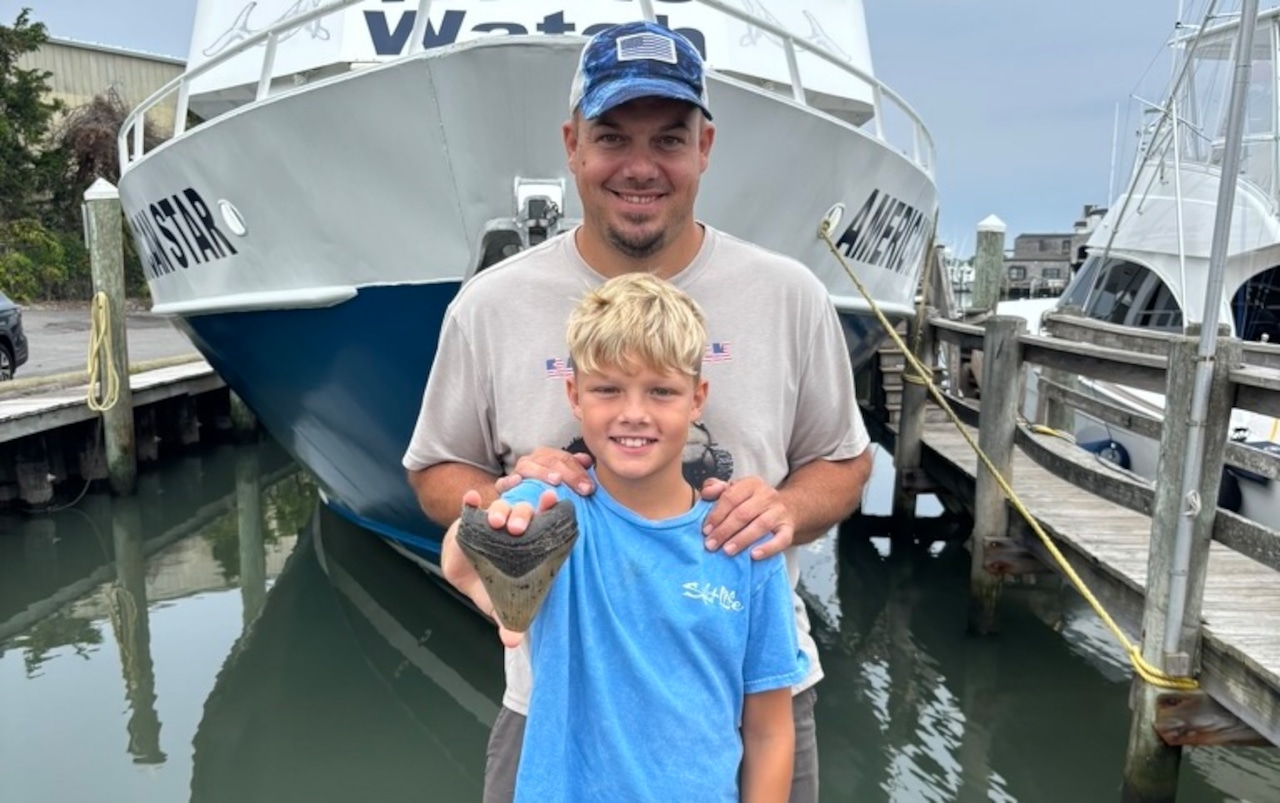 Rare Megalodon Shark Tooth Found on New Jersey Beach