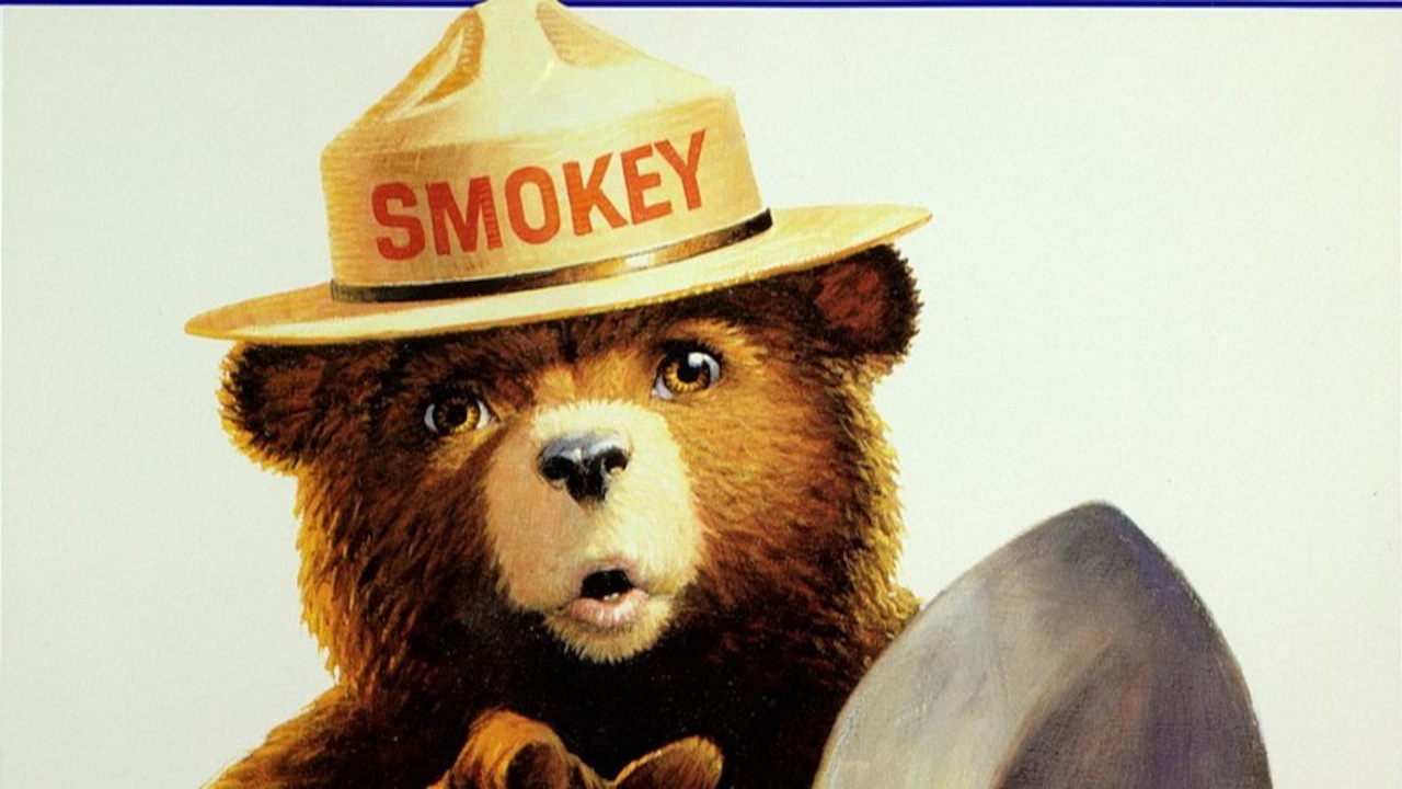 Smokey Bear Celebrates 82nd Birthday with Jersey Shore Helicopter Ride