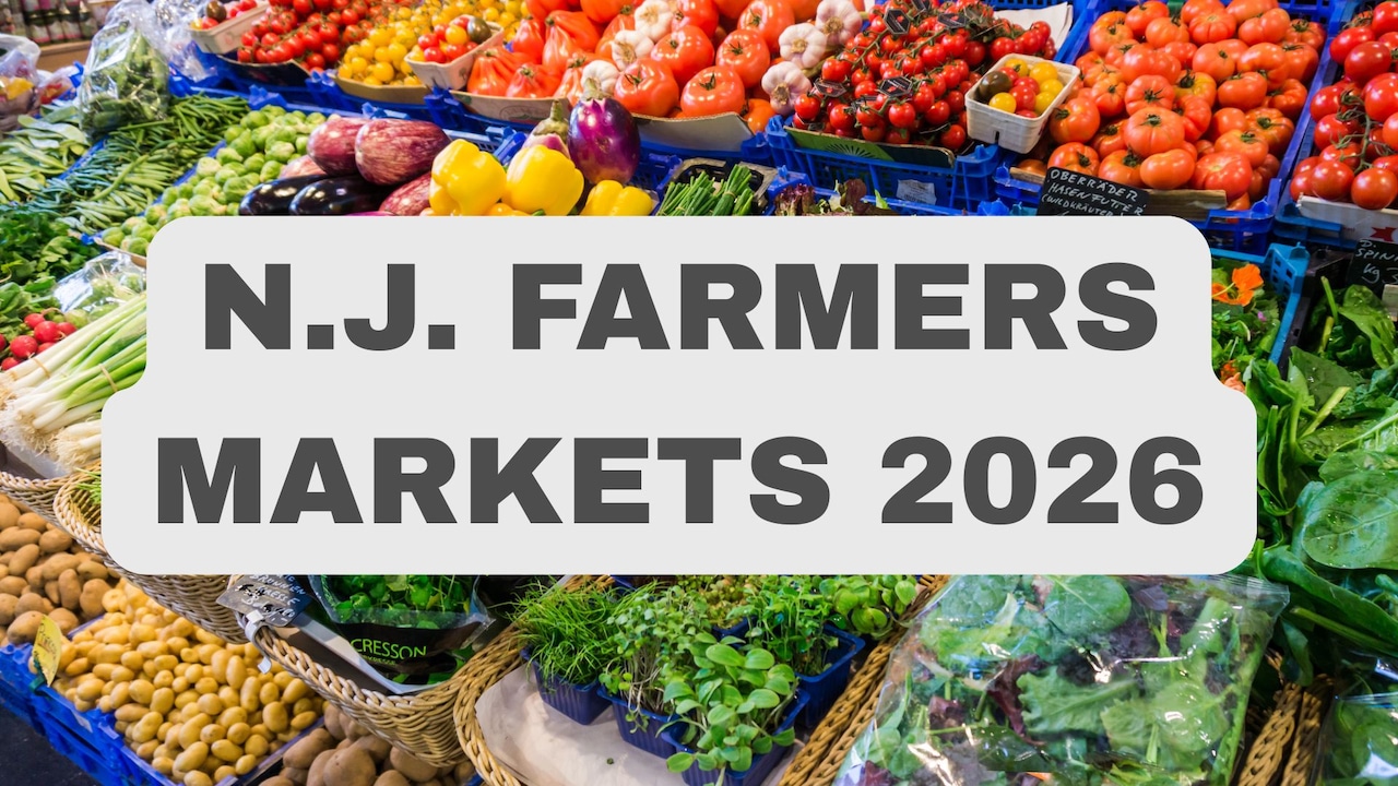Local Bounty: A Guide to New Jersey’s Farmers Markets