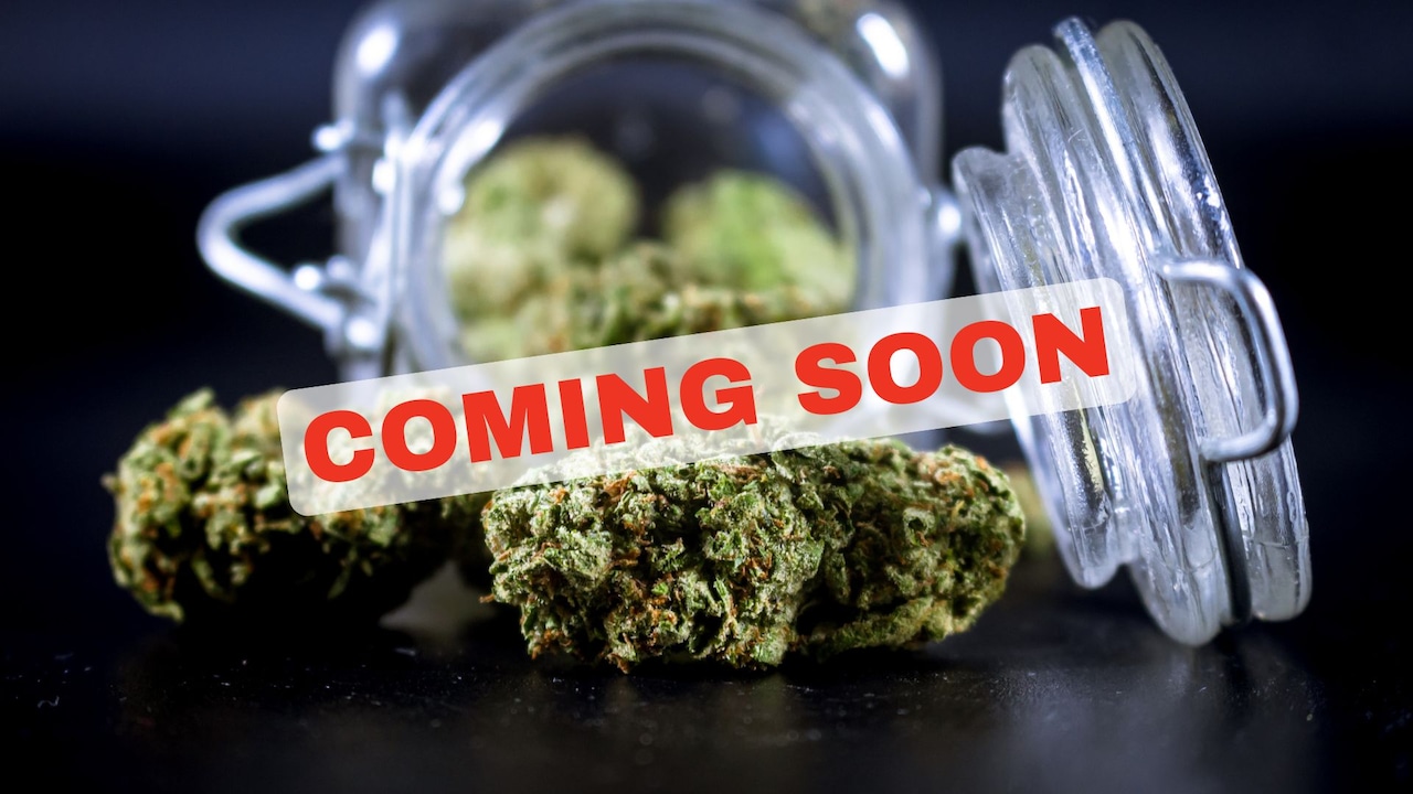 Expanding Opportunities: Lower Township Approves New Cannabis Dispensary