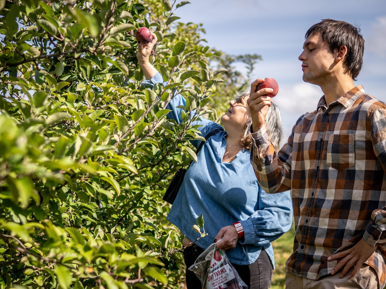 Top NJ Orchards Open for Apple Picking