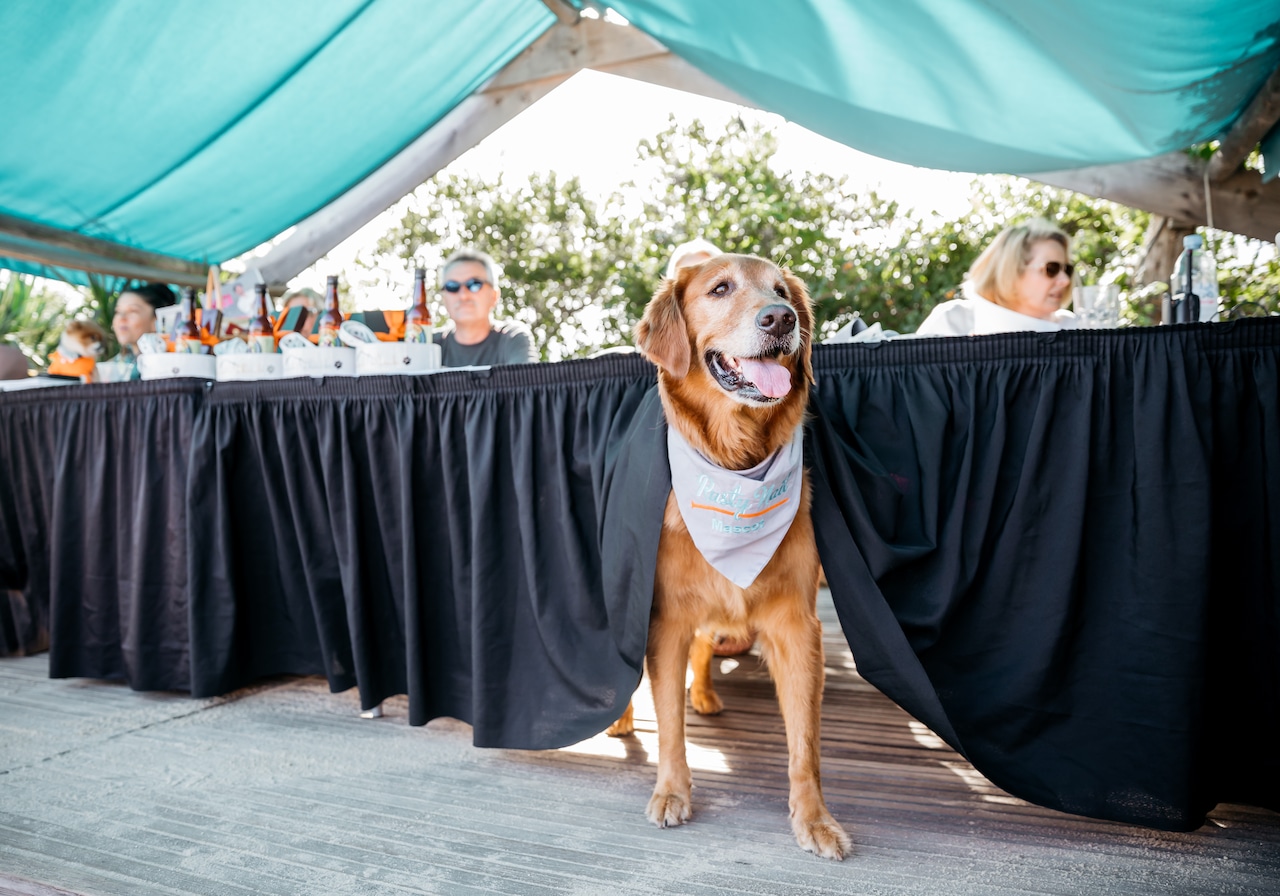 Annual Doggie Pageant at The Rusty Nail: A Fun Event for a Good Cause